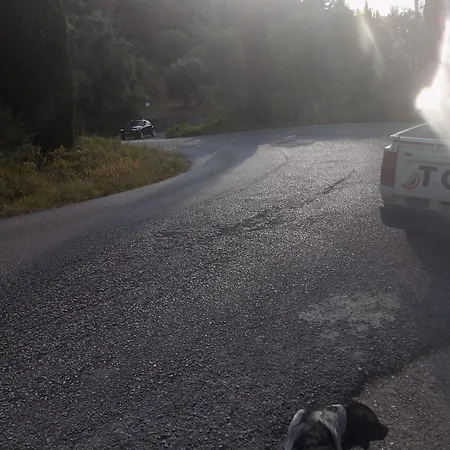 Case de vacanță Ligeris House 2 *