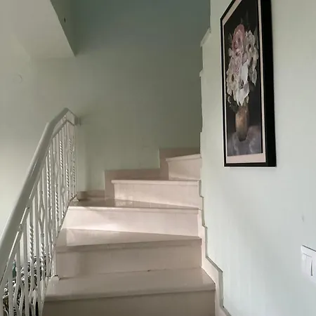 Ligeris House 2